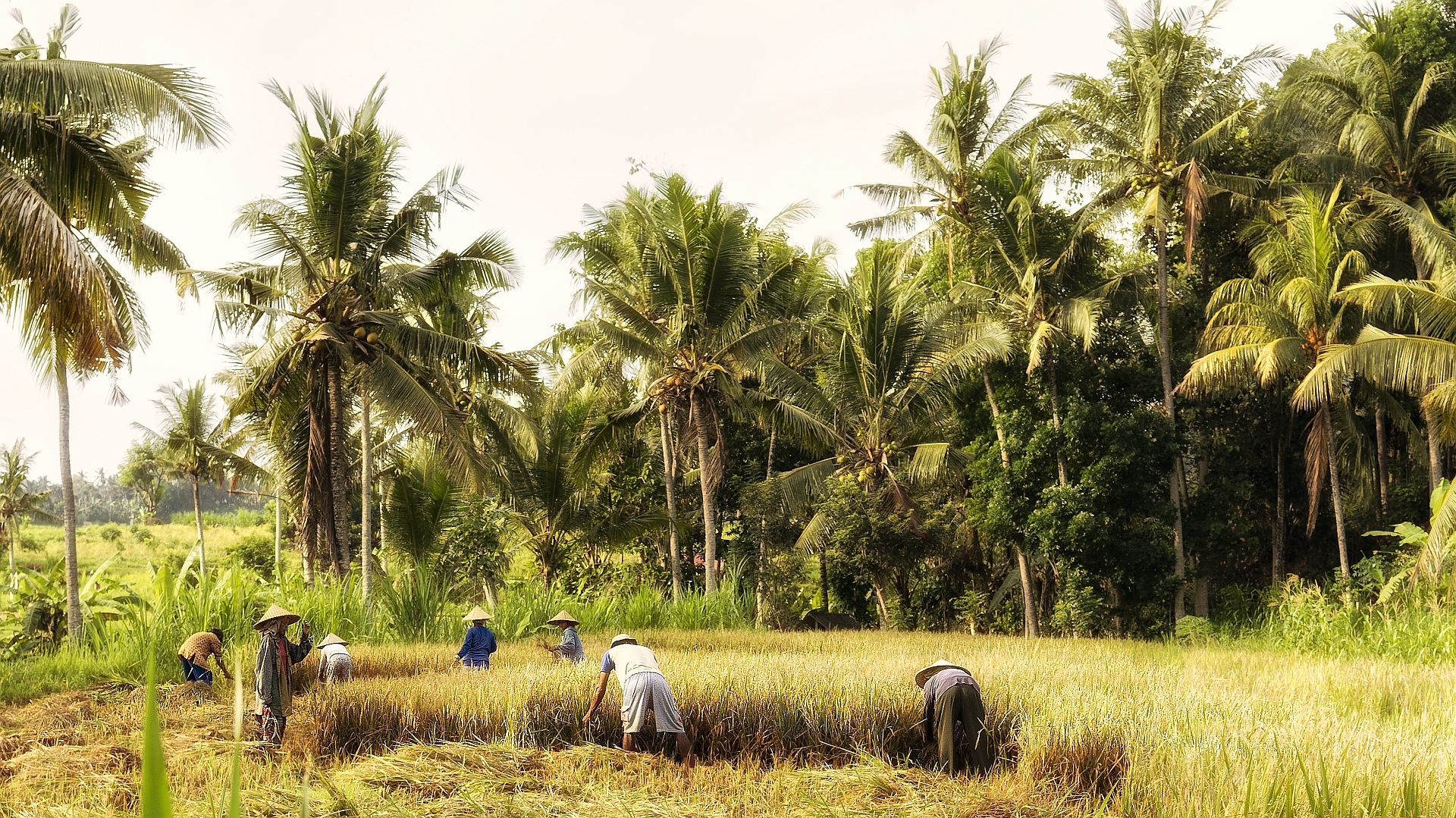 local people in Indonesia