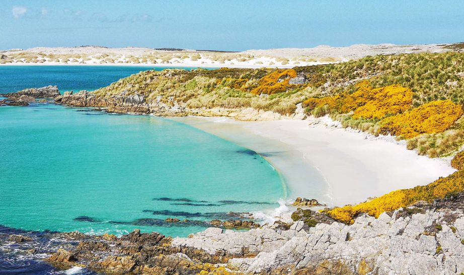 seaside in the Falkland islands