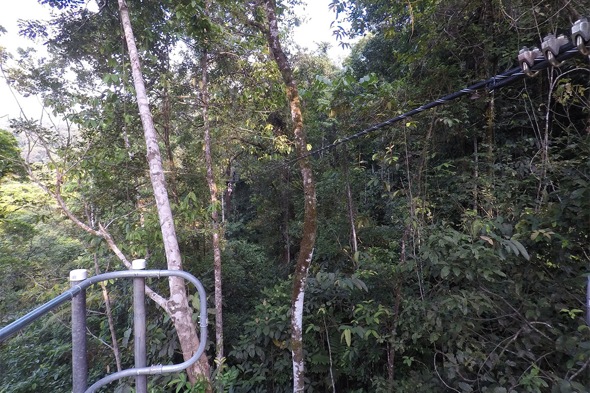 Forest walks in Costa Rica with cazenove+loyd