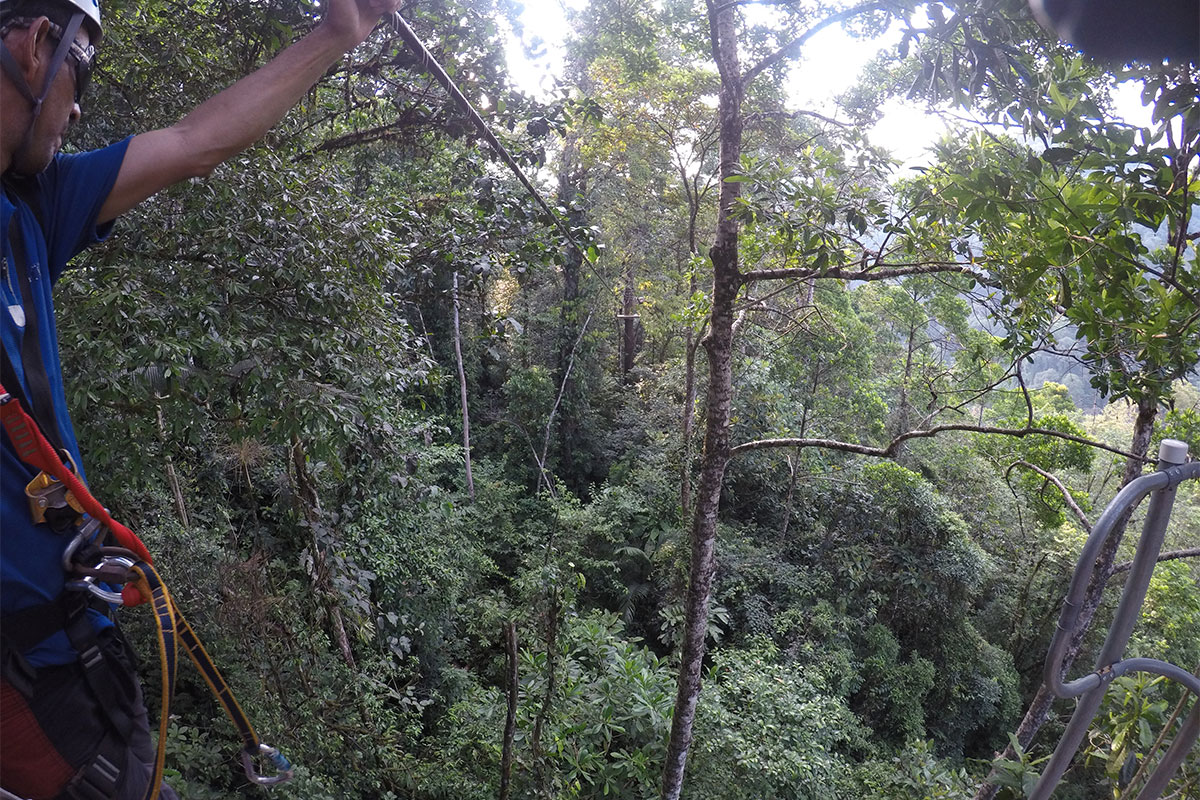 Forest walks in Costa Rica with cazenove+loyd