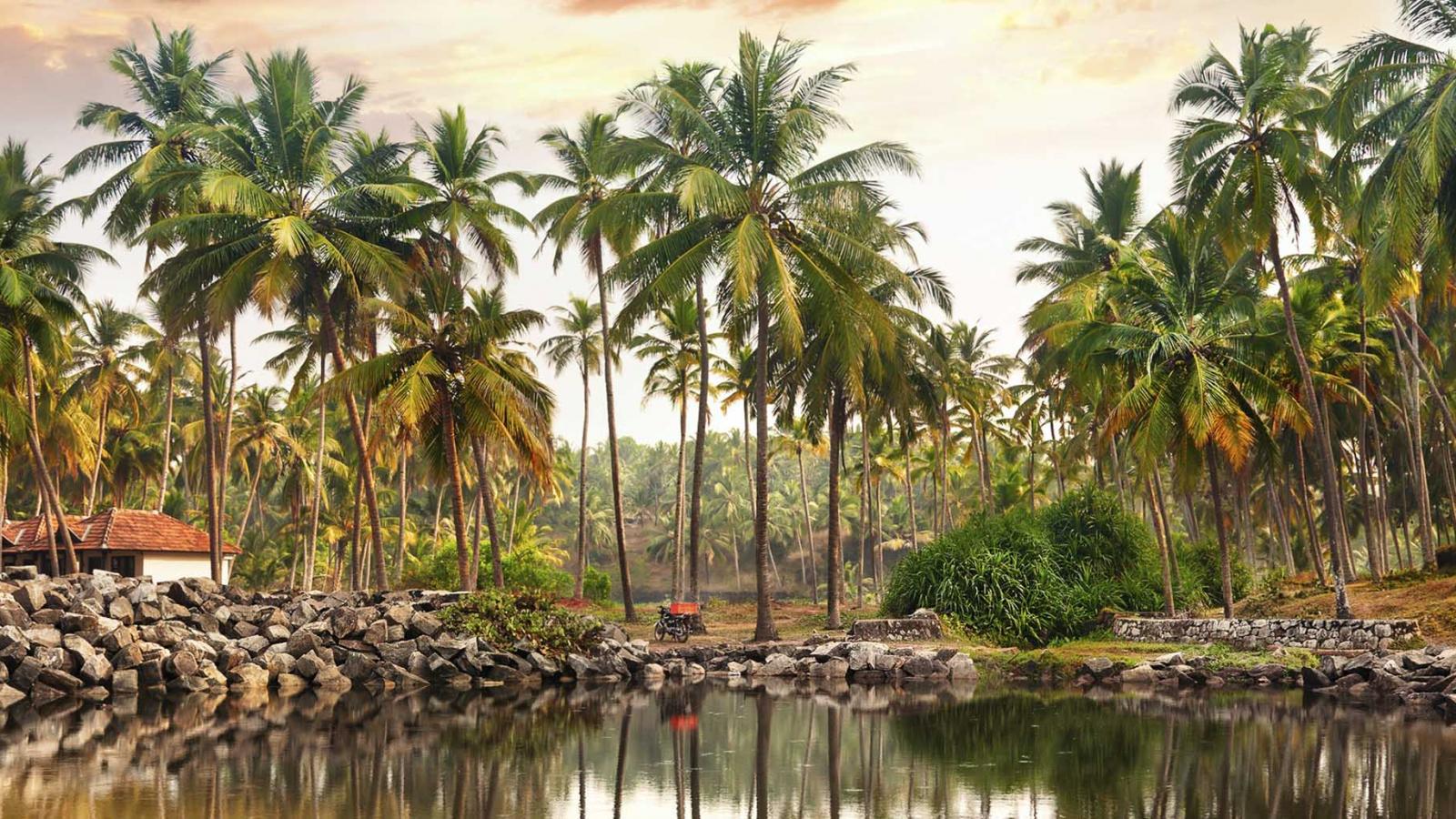 An evening of Keralan cuisine in southern India