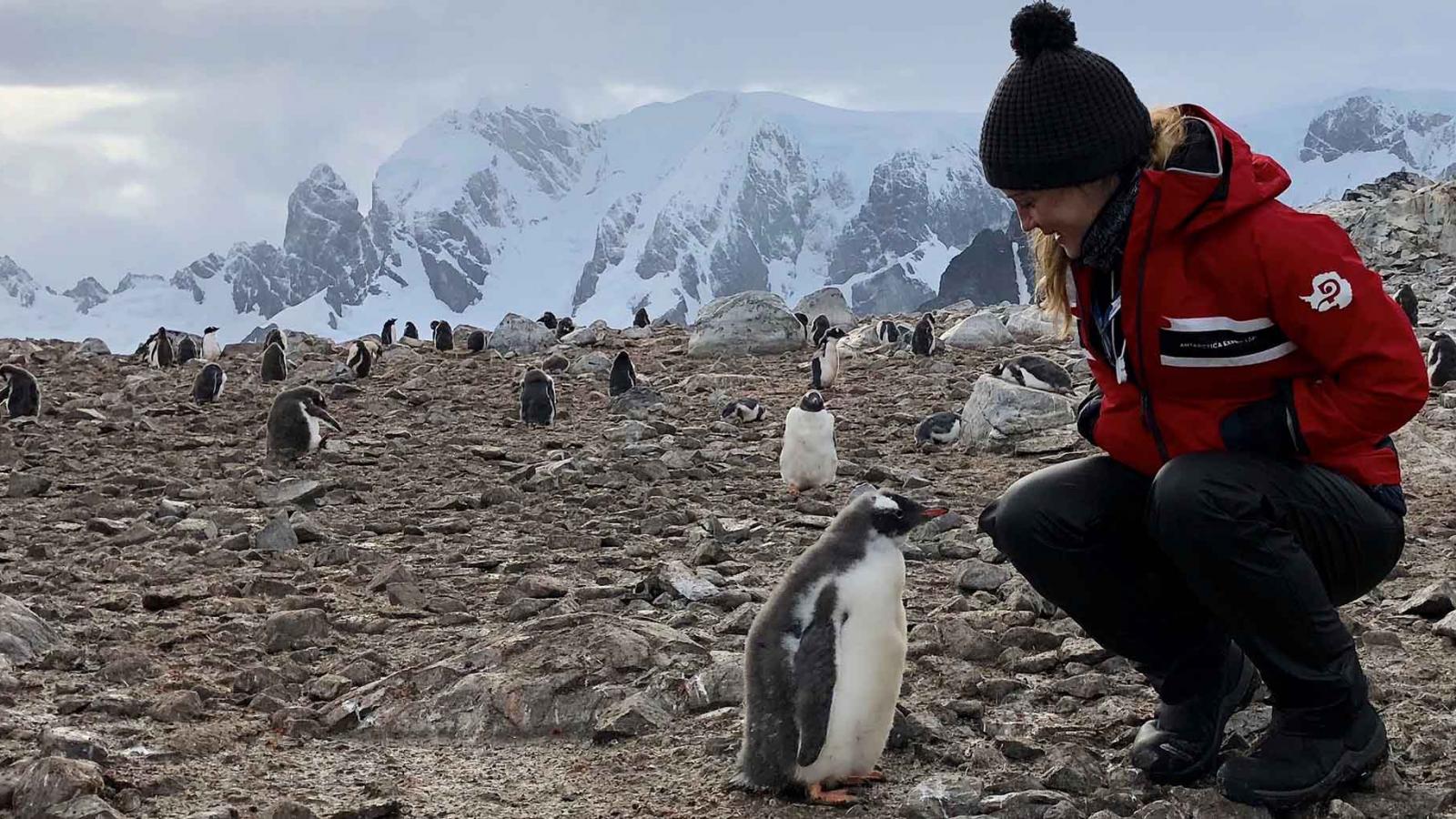 Antarctica: a personal account of a life-changing voyage
