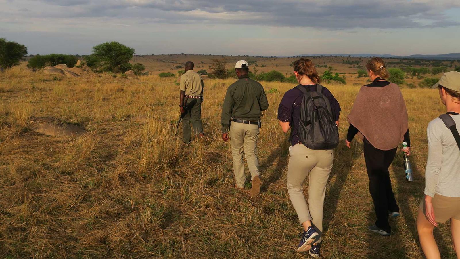 An unforgettable day in the northern Serengeti