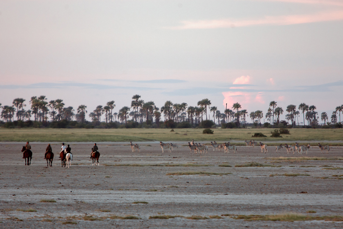 Riding in the Makgadikgadi pans, Kalahari desert