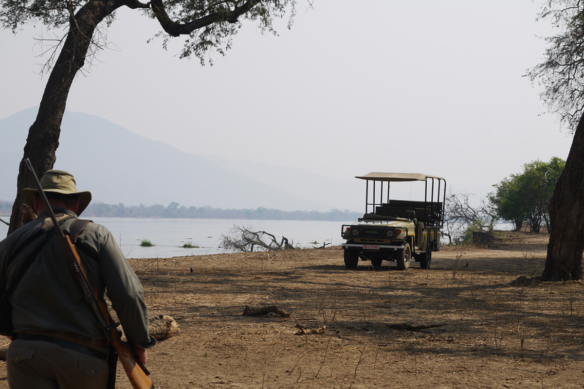 Game drive at Mana Pools in Zimbabwe
