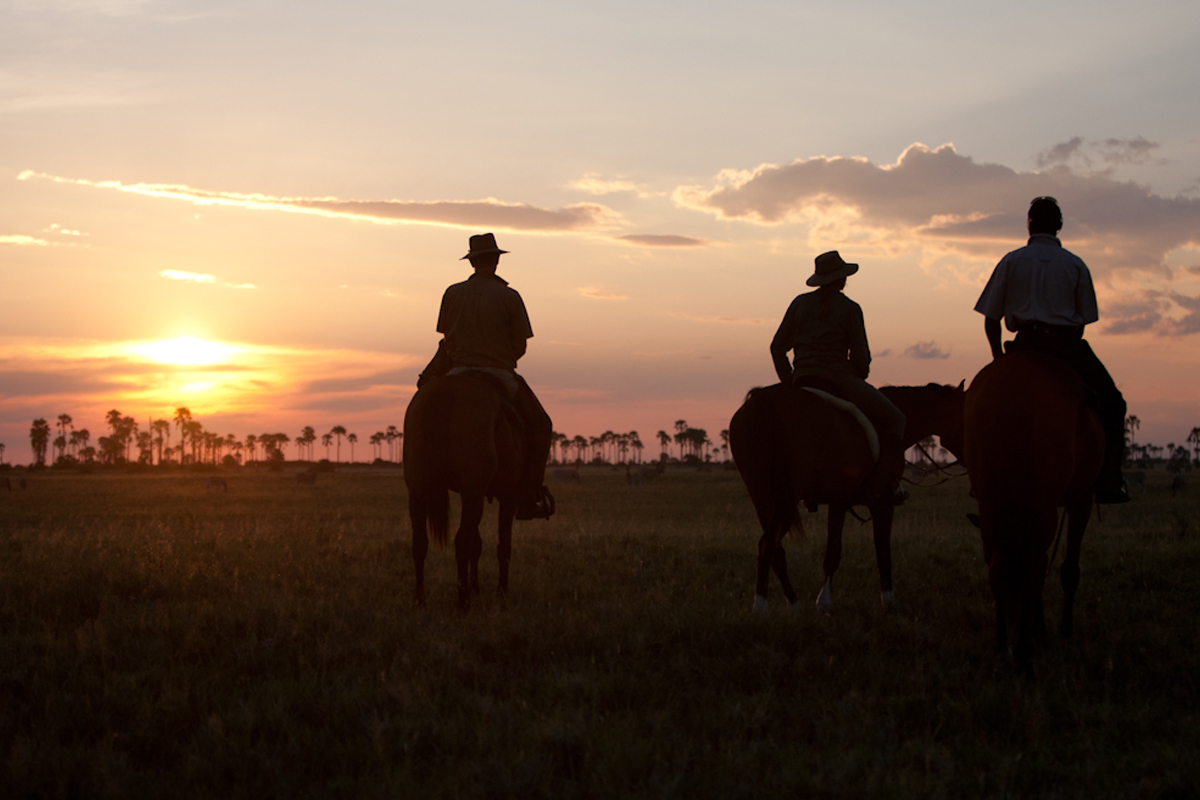 Sunset in Botswana on safari