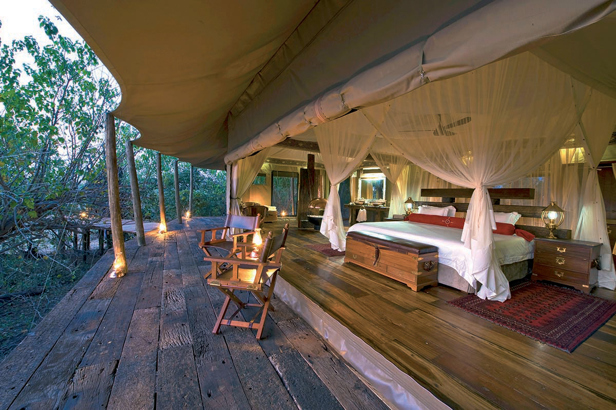 Zarafa in Botswana
