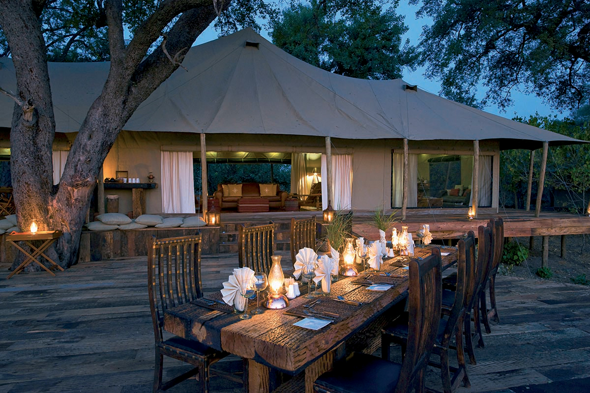 Zarafa in Botswana