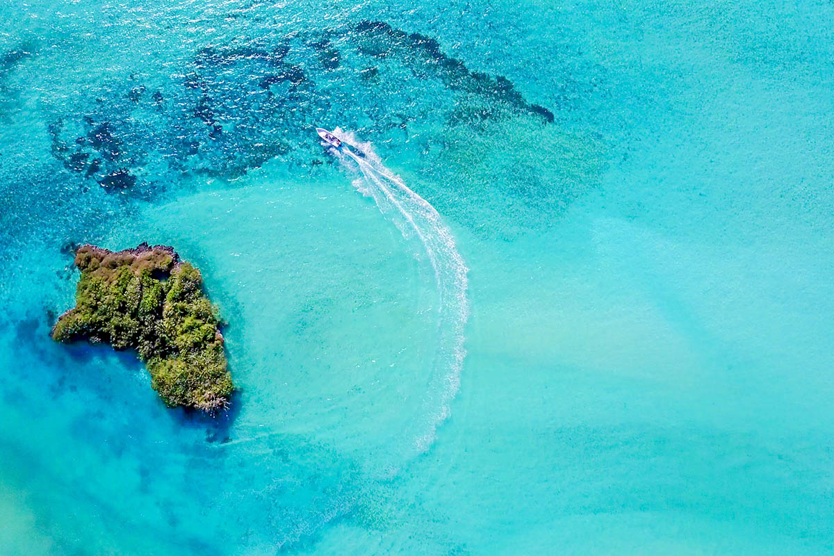 Wild + Exhilarating Safari Experiences