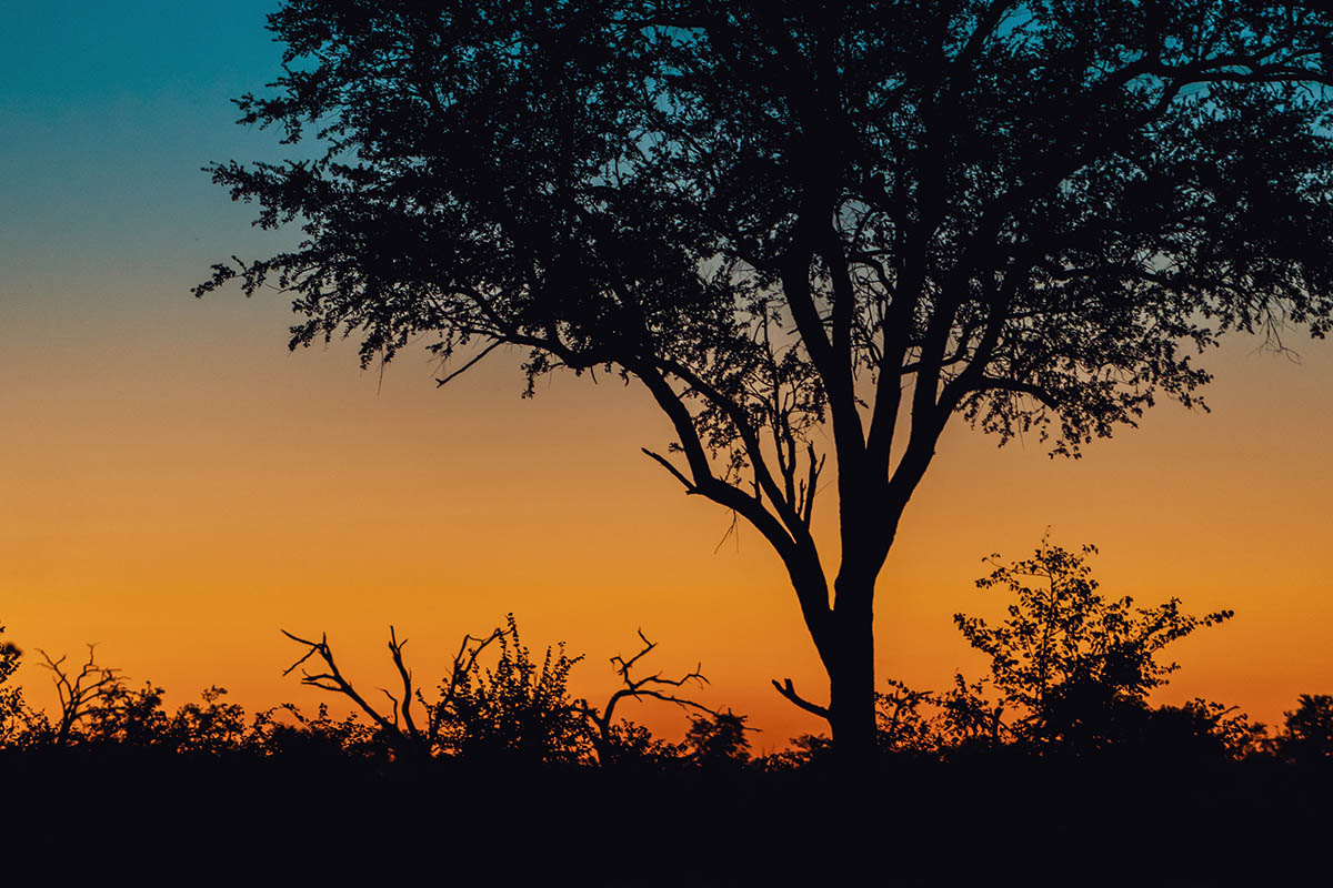 A journey through the Okavango Delta Capturing a Mobile Safari Expedition with cazenove+loyd