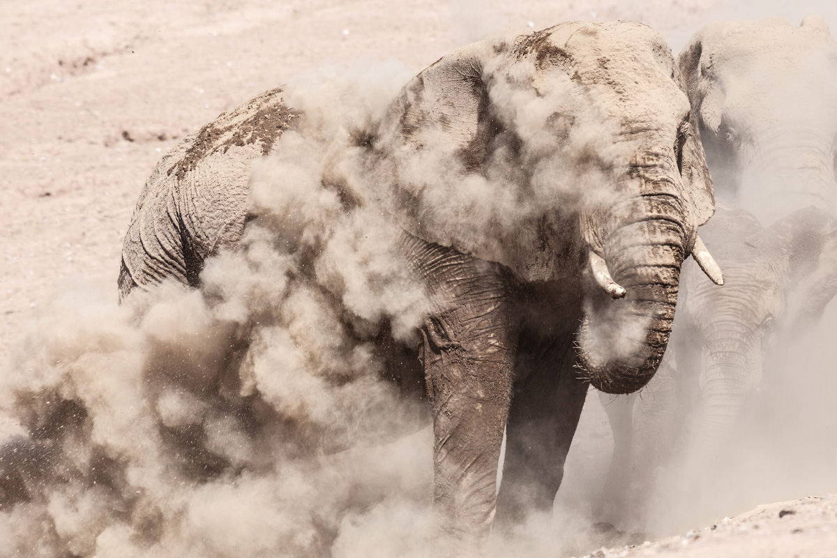 Portfolio: Southern Africa in pictures