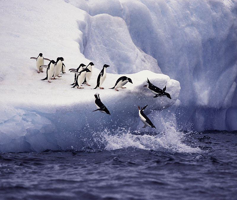 December, The Best Time to Visit Antarctica