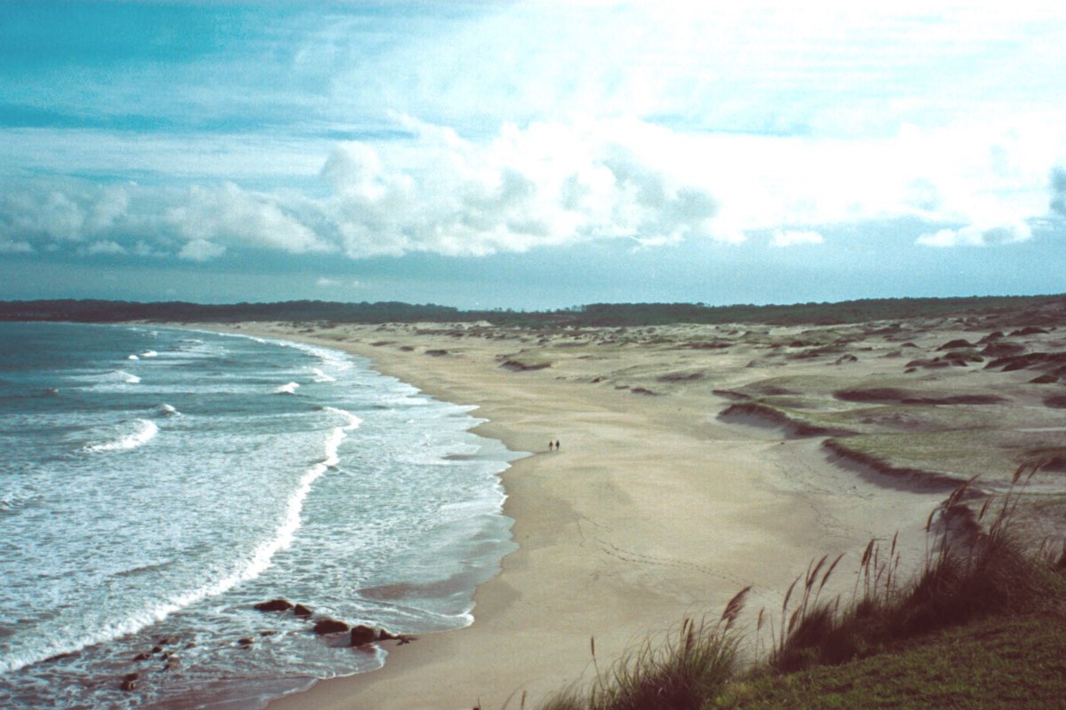 Dolphin Bay Uruguay