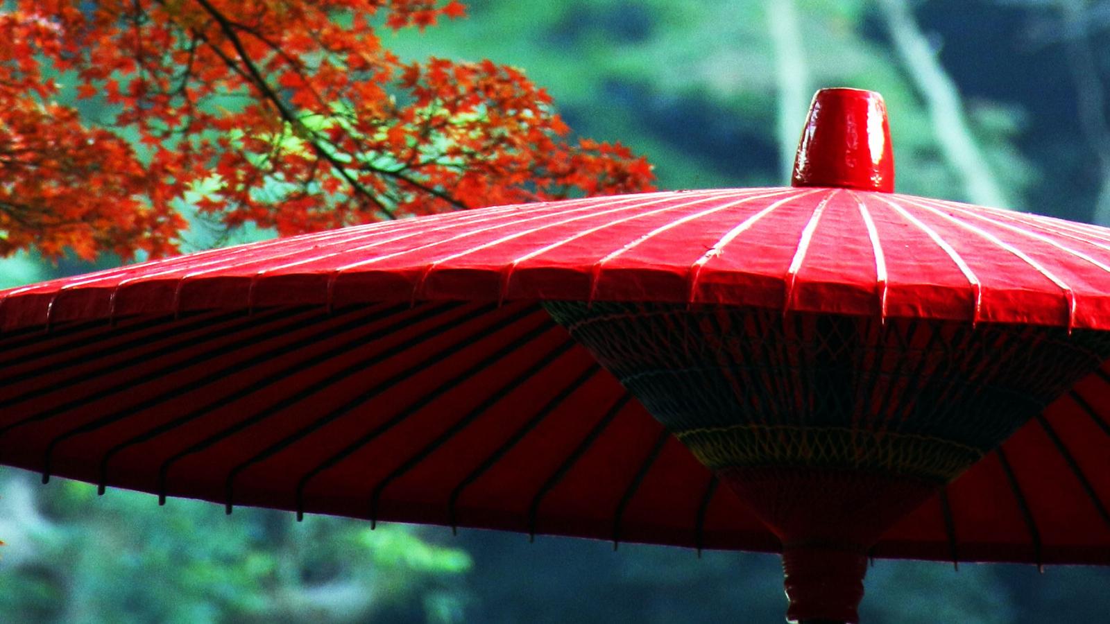 Experience Japan's cultural highlights