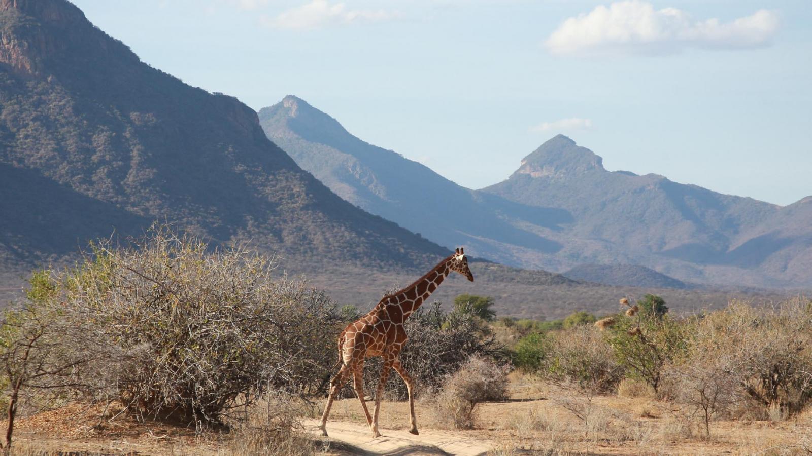 Exploring Kenya’s Matthews Mountain Range