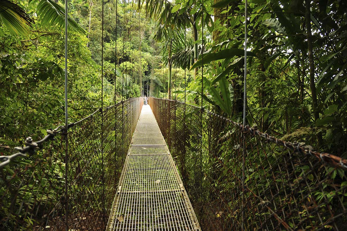 Explore lush rainforests in one of the world's most biodiverse countries, Costa Rica one of the best Easter holiday destinations