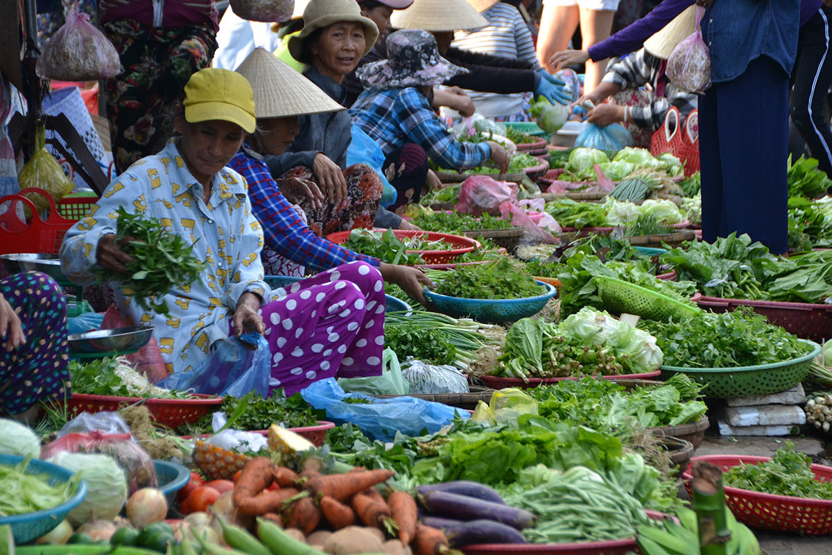 Food for Vietnamese dishes
