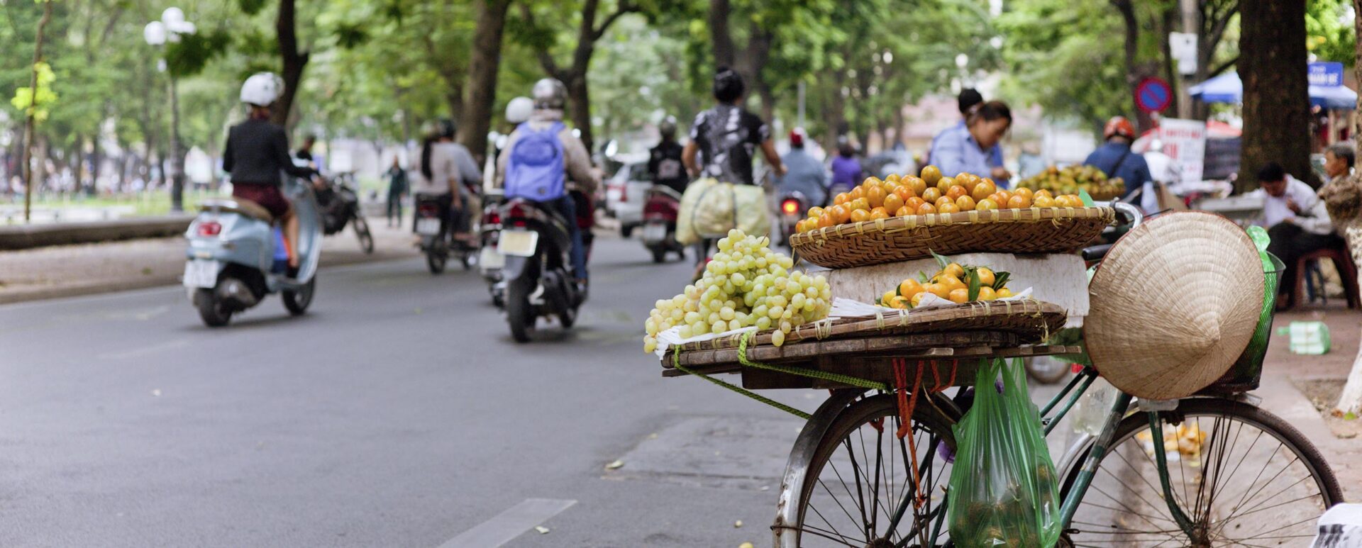 Vietnamese dishes