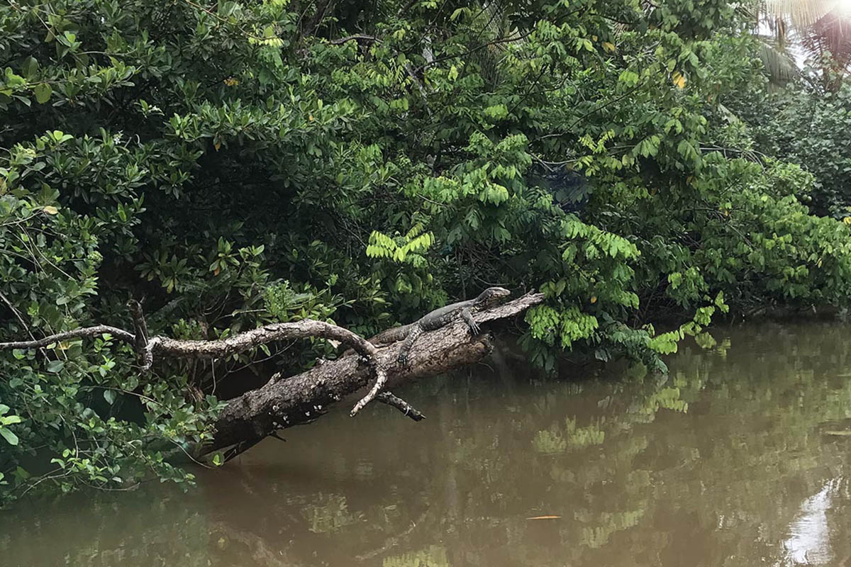Getting off the beaten track near Galle in Sri Lanka