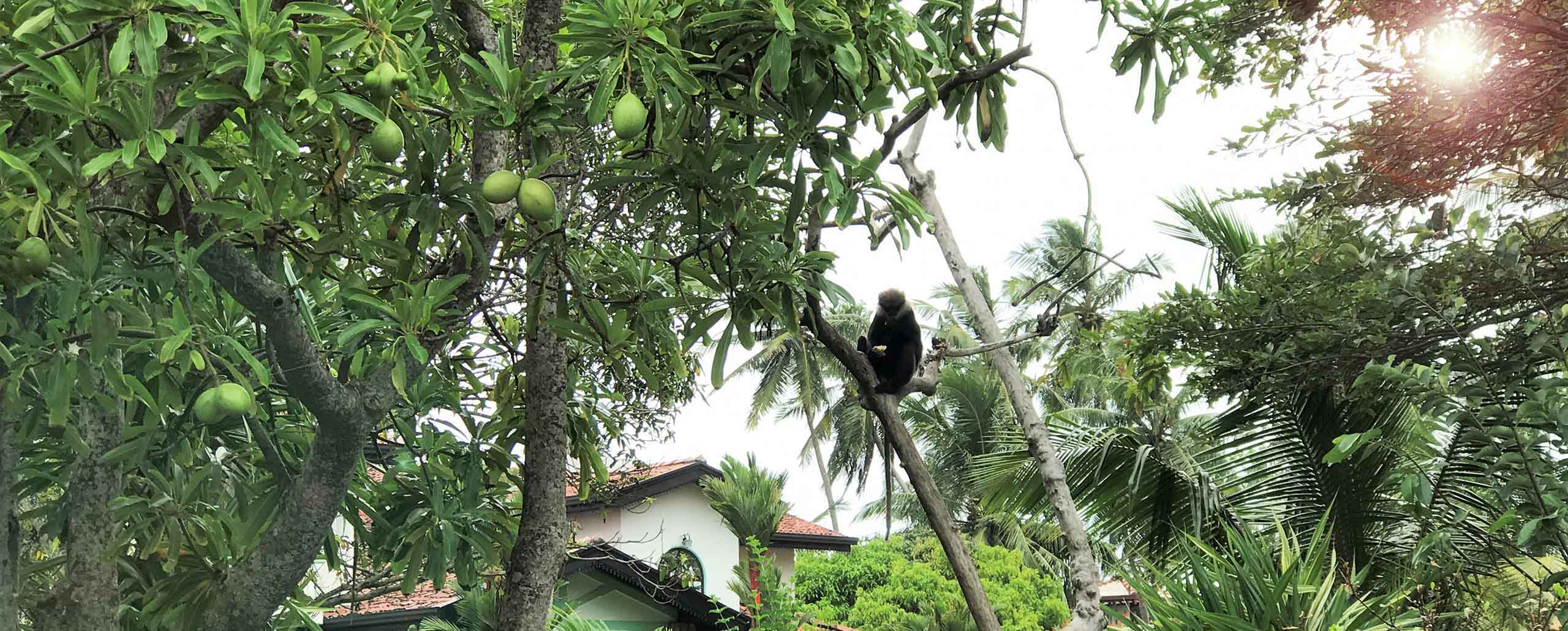 Getting off the beaten track near Galle in Sri Lanka