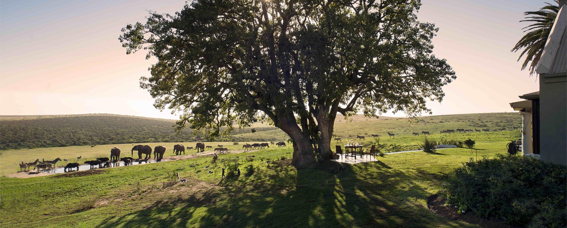 Gorah Elephant Camp in South Africa