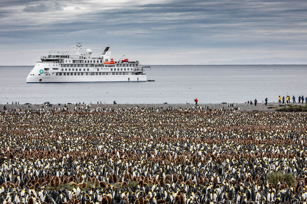 Polar expedition vessels a good way to watch the penguins