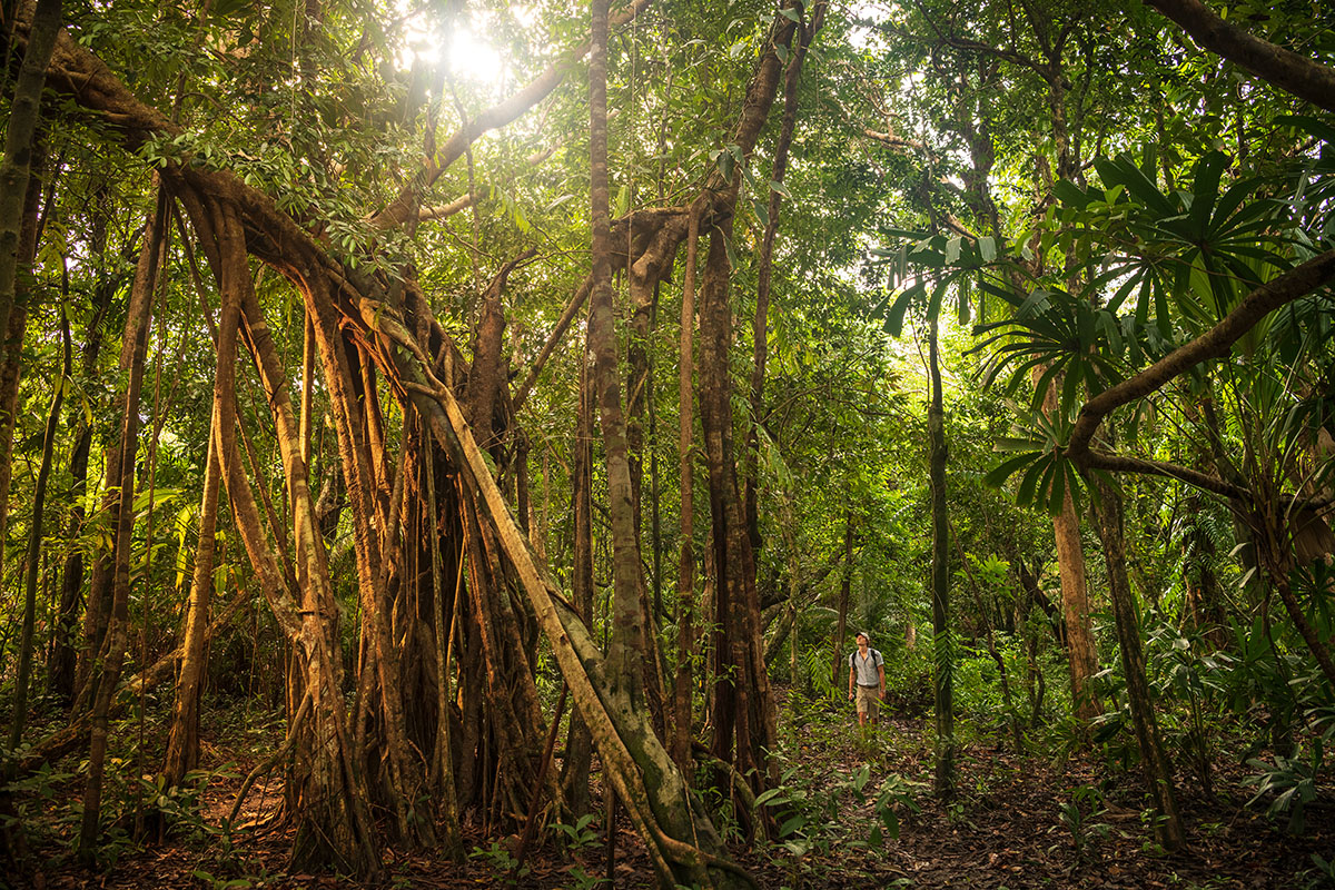Guided hike through rainforest at Wa Ale, private island in Myanmar