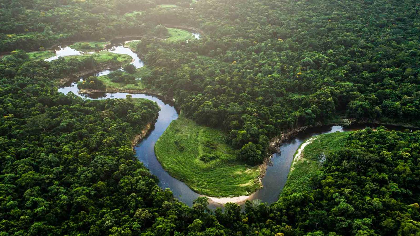 How to spend 24 hours in Manaus, Brazil