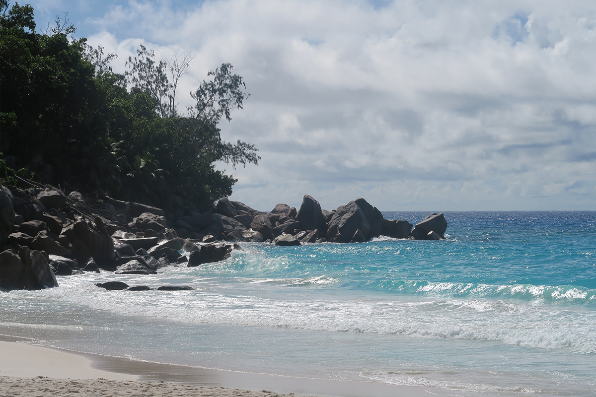 Tortoise on The North Island of The Seychelles