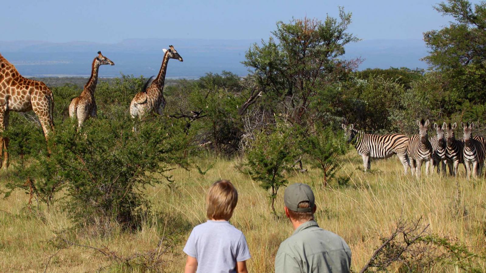 Individual Travel: The Perfect Trip for Every Child