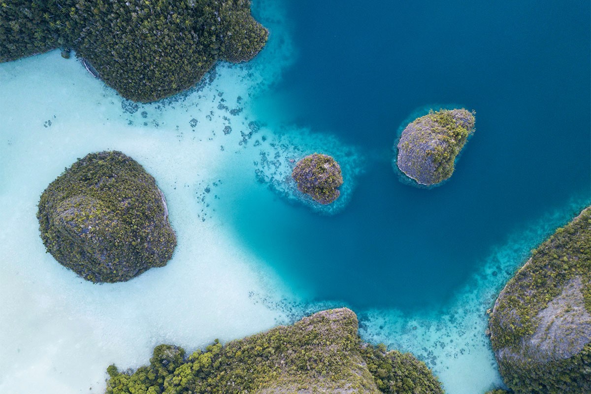 reefs