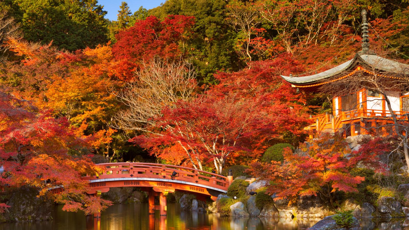 Japan: Why you need a specialist