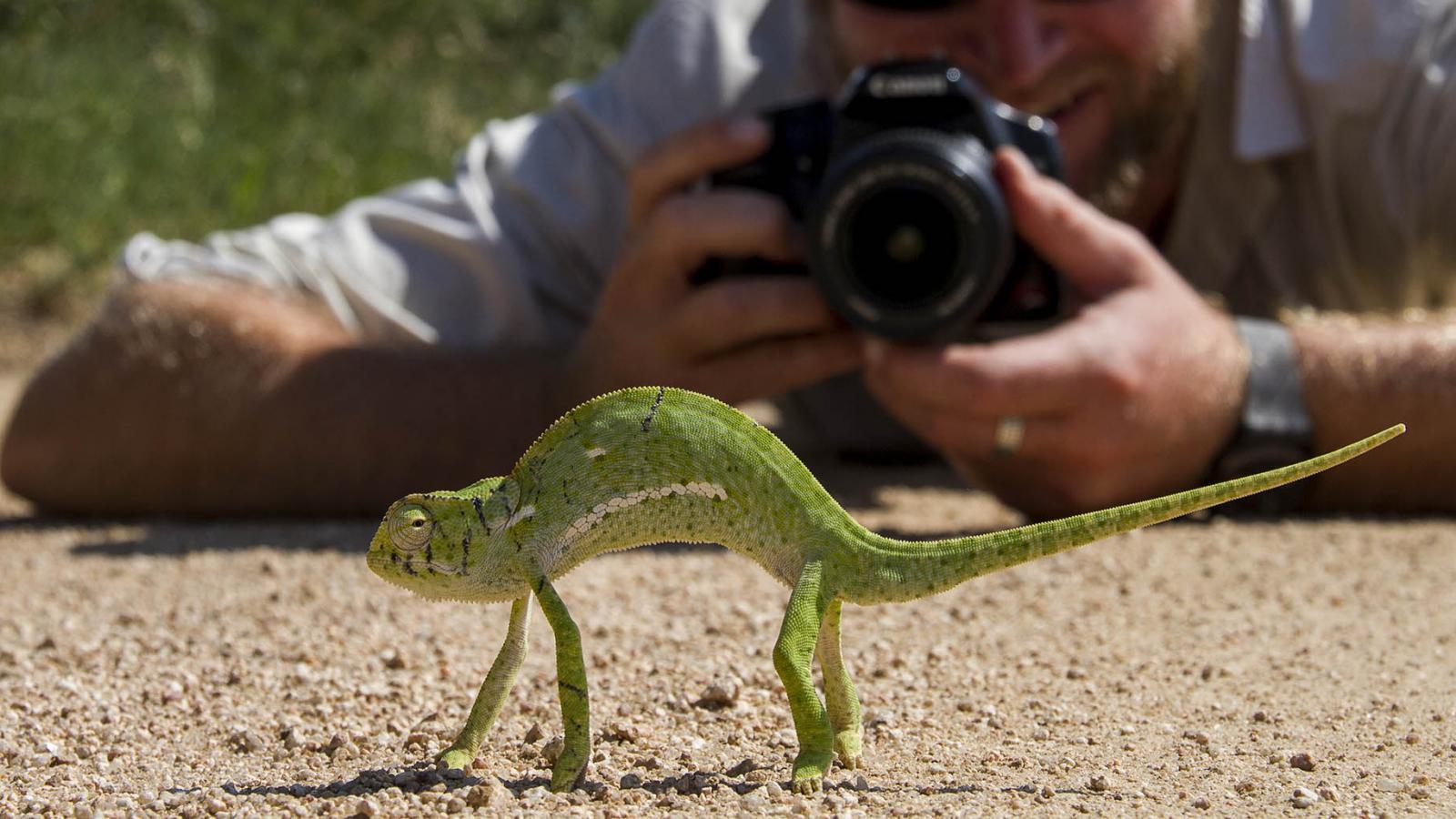 londolozi game reserve