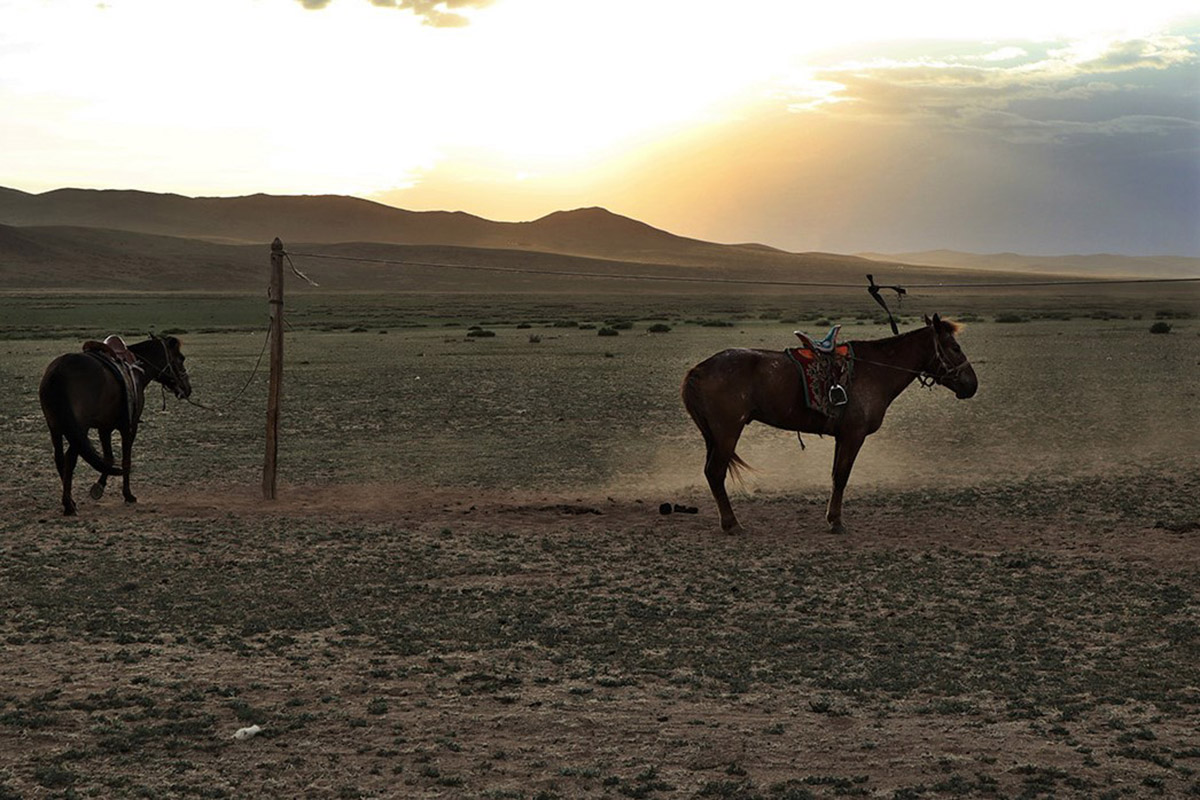 Living like nomads in the Mongolian steppe