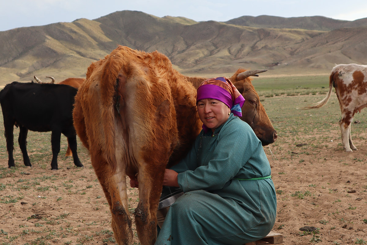 Living like nomads in the Mongolian steppe