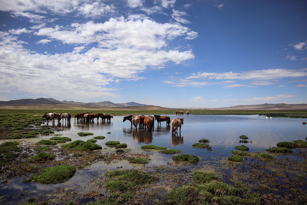 Living like nomads