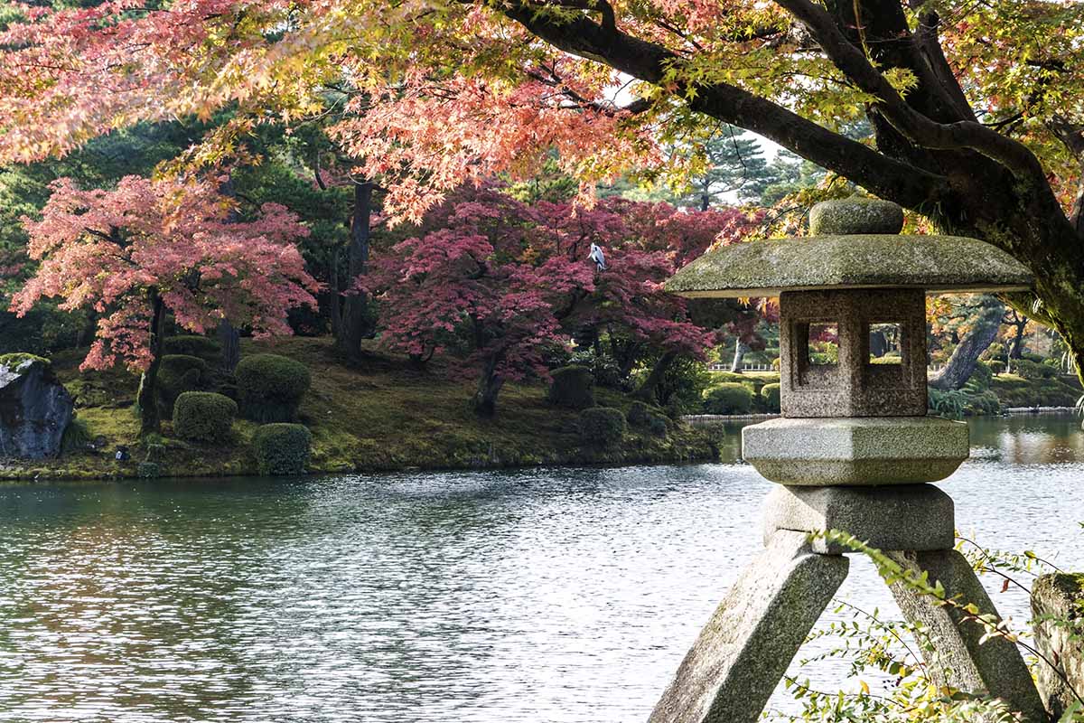 Luxury holiday to Japan