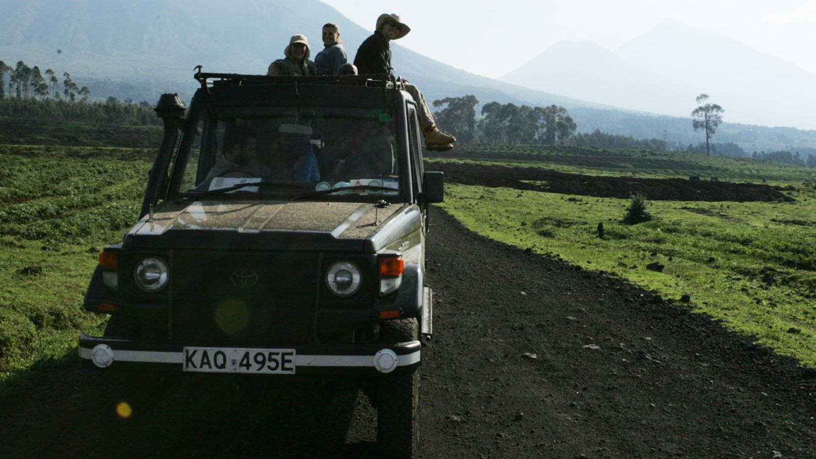 Mountain Gorillas in Rwanda with Susie Cazenove