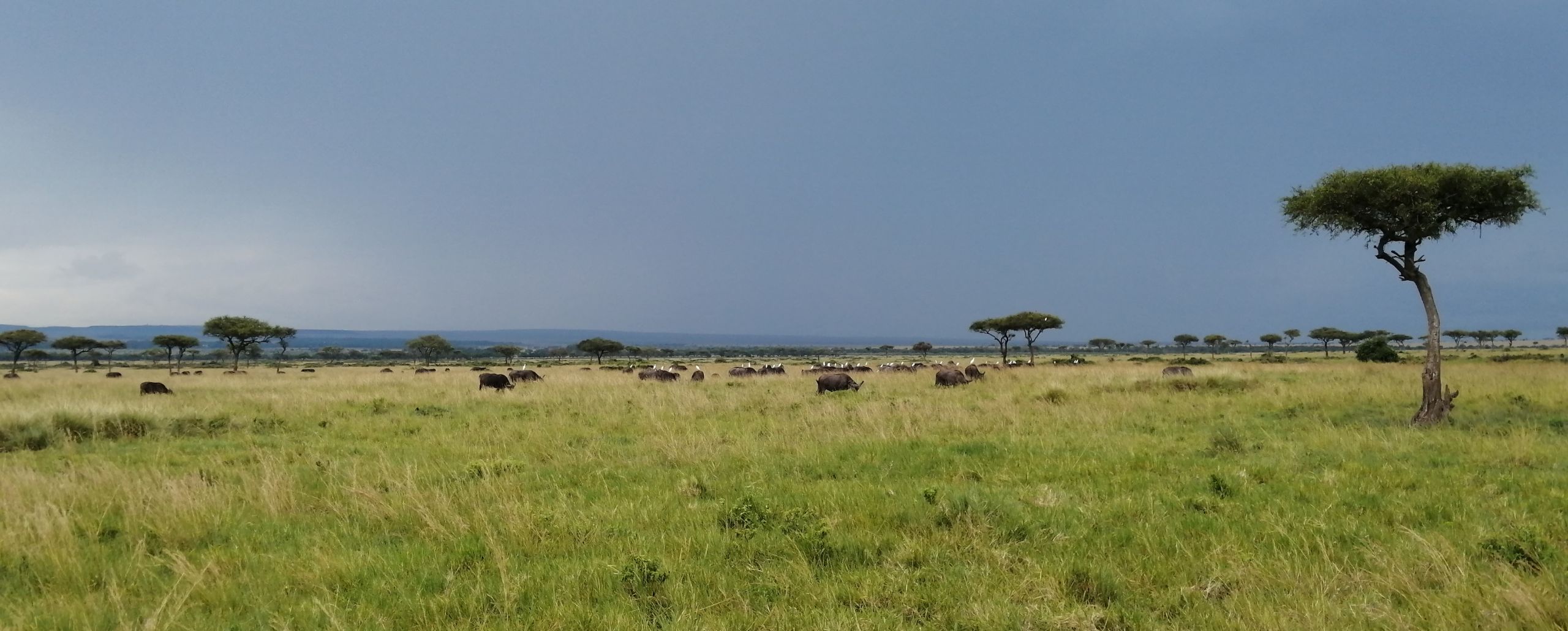 Mara triangle