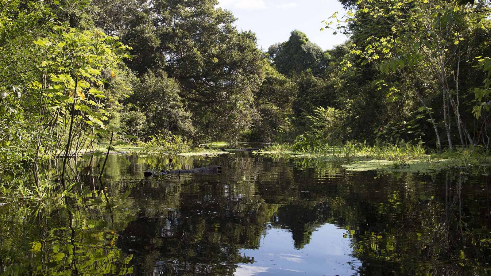 My Life-changing Experience In The Peruvian Amazon