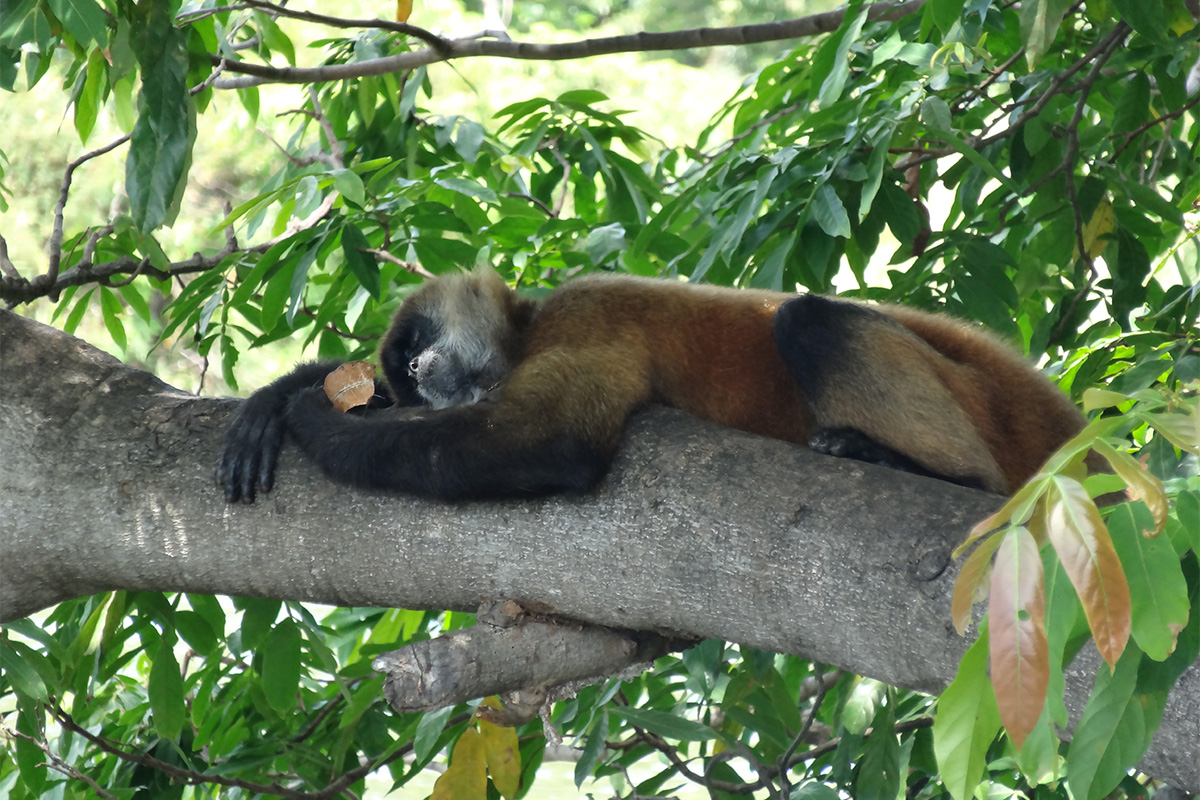 Nicaragua