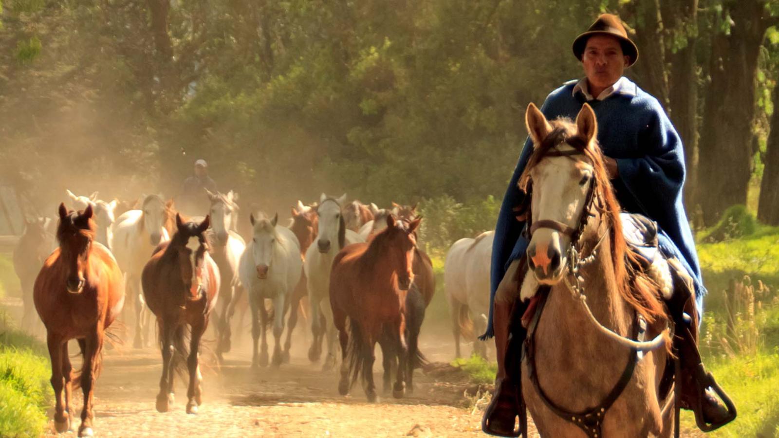 Our Experience at Hacienda Zuleta: a home from home in the Ecuadorian Andes