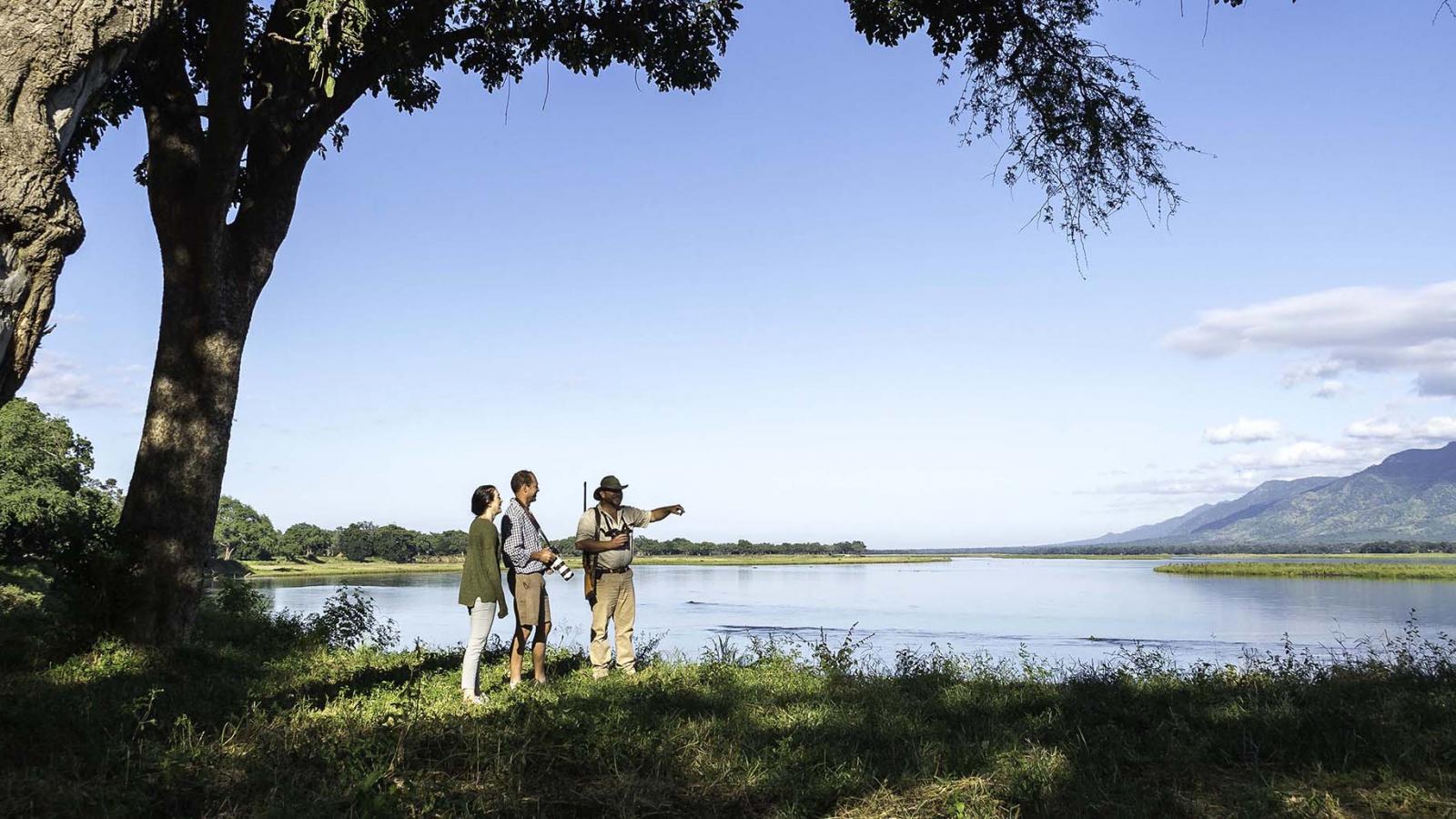 Our Incredible Experience in Mana Pools, Zimbabwe