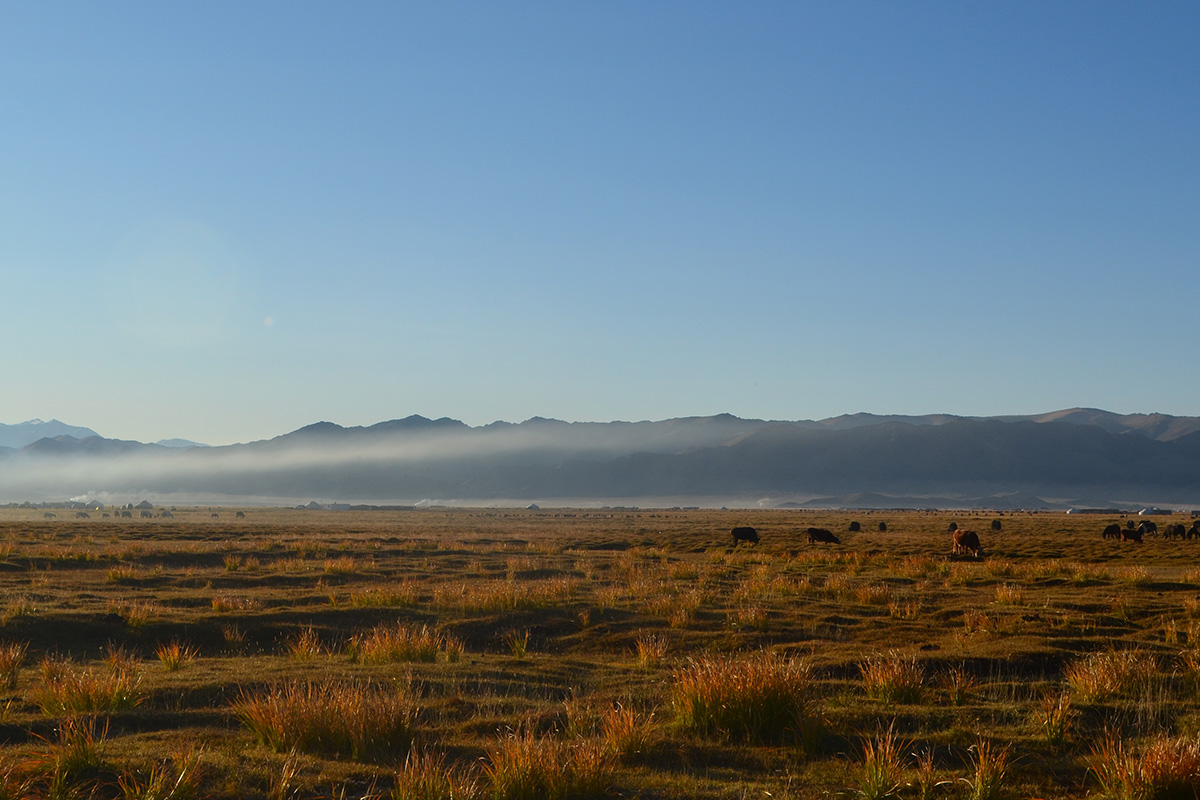 Our day with eagle hunters in Mongolia