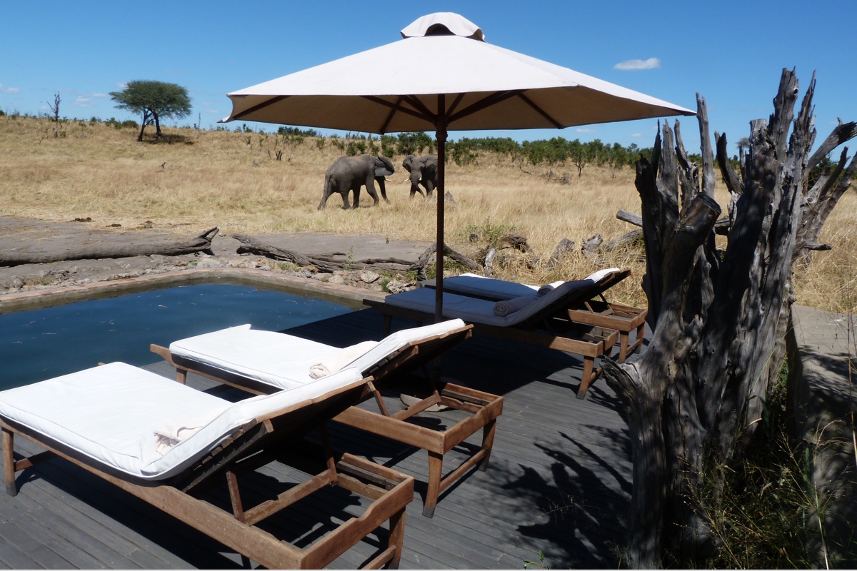Safari in Zimbabwe with cazenove+loyd