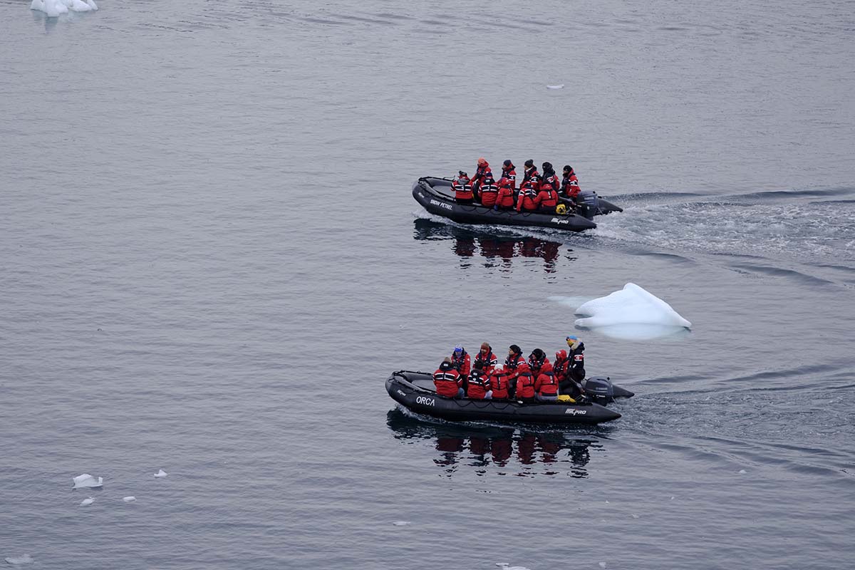 Sarah Antarctica