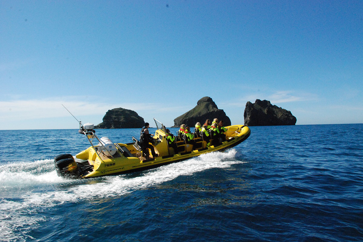 RIB safari, How best to spend a week in Iceland