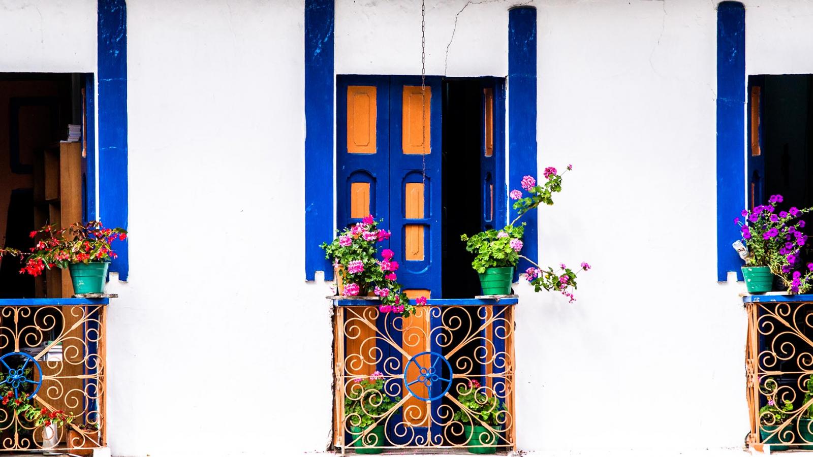 Sarah’s Experience Of Colombia’s Coffee Region