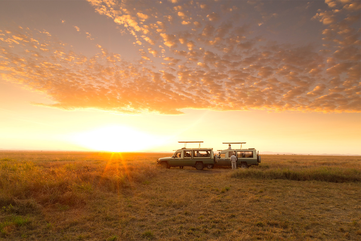 The importance of travelling