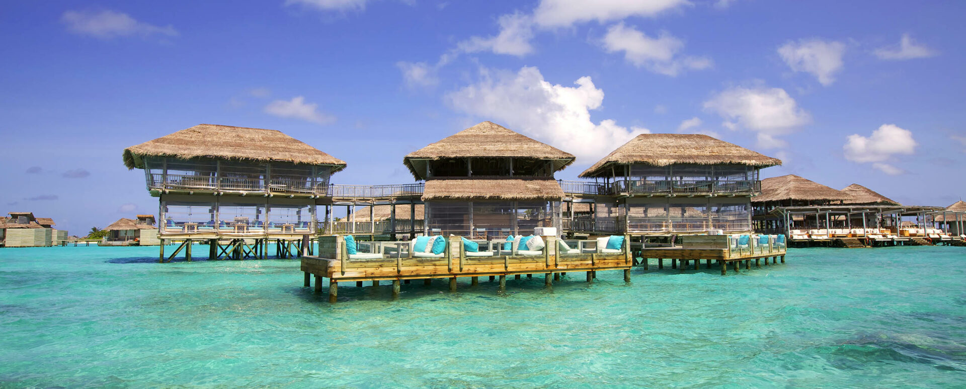 Six Senese Laamu